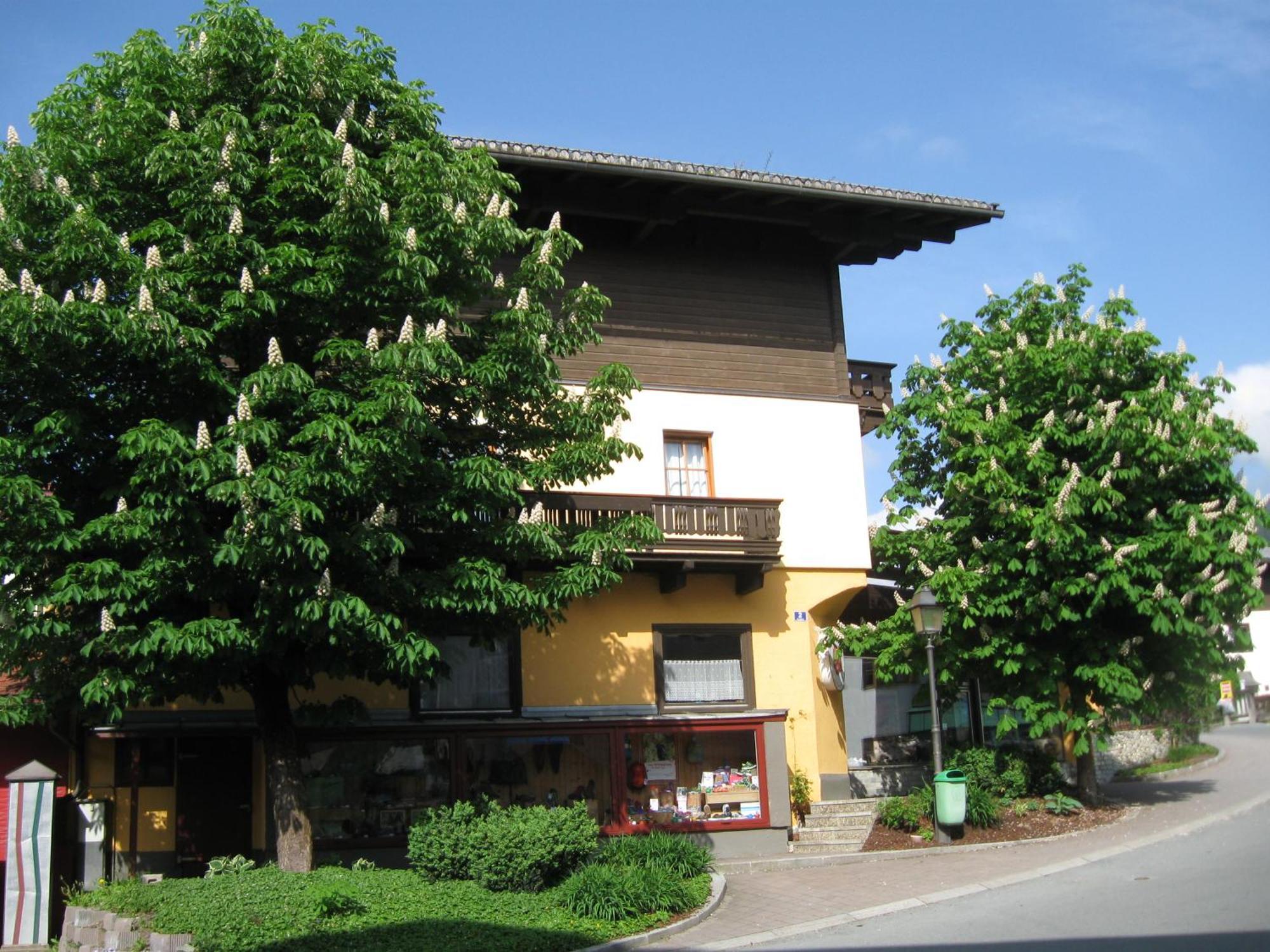 Apartamento Haus Am Dorfplatz Uttendorf Exterior foto